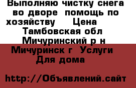 Выполняю чистку снега во дворе, помощь по хозяйству,  › Цена ­ 500 - Тамбовская обл., Мичуринский р-н, Мичуринск г. Услуги » Для дома   